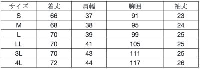 画像1: レディススクラブ