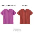 画像9: 【PANTONE】スクラブ男女兼用 (9)